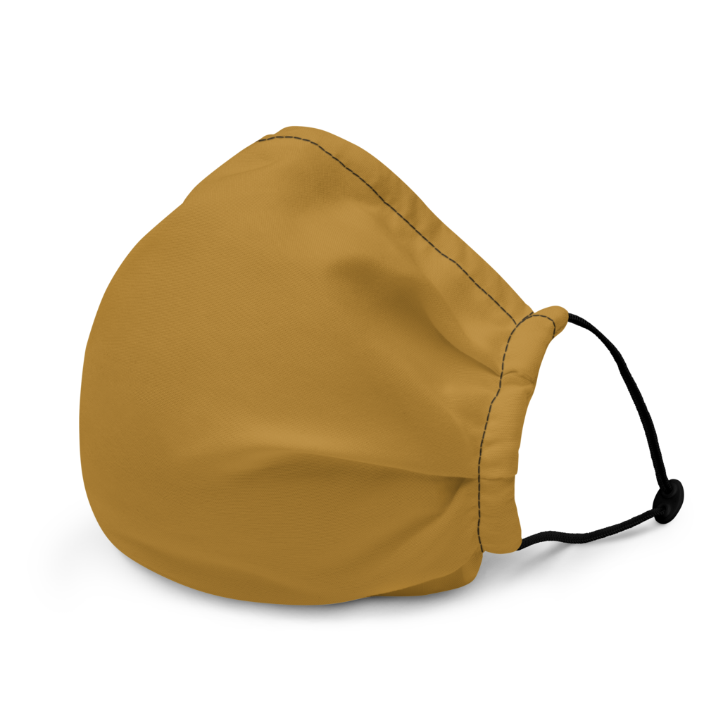 Golden Eye Christmas | Face Mask
