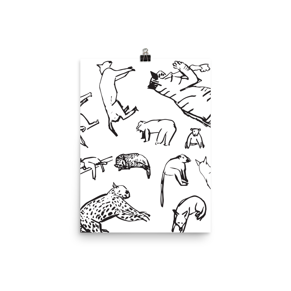 Animals | Poster