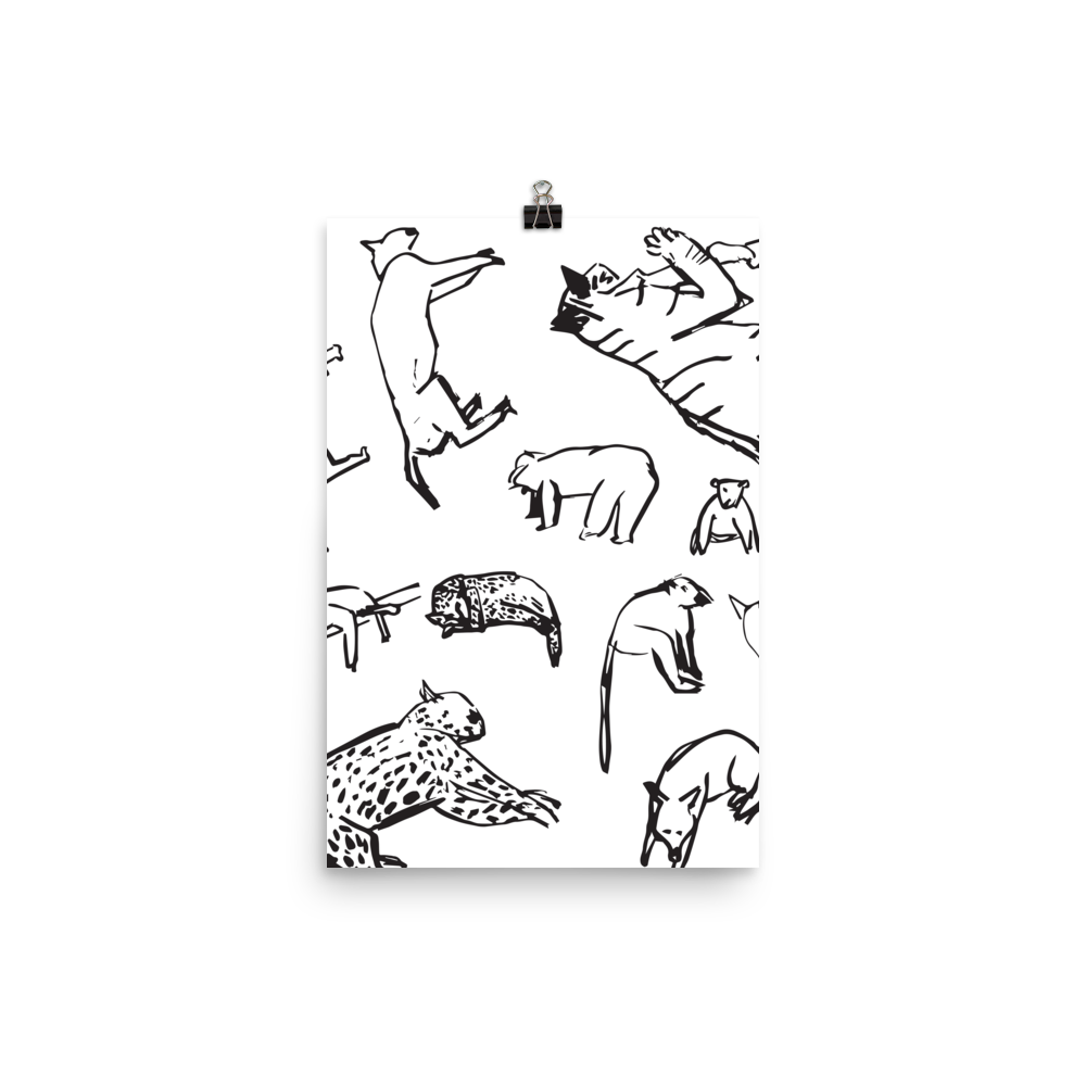 Animals | Poster