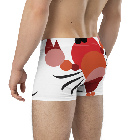 Rapujuhlat | Boxer Briefs