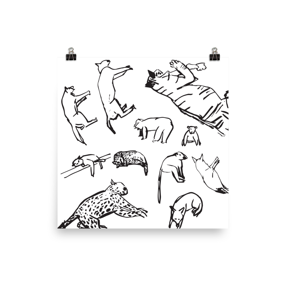 Animals | Poster