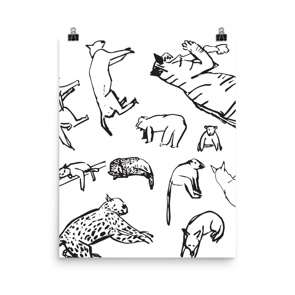Animals | Poster