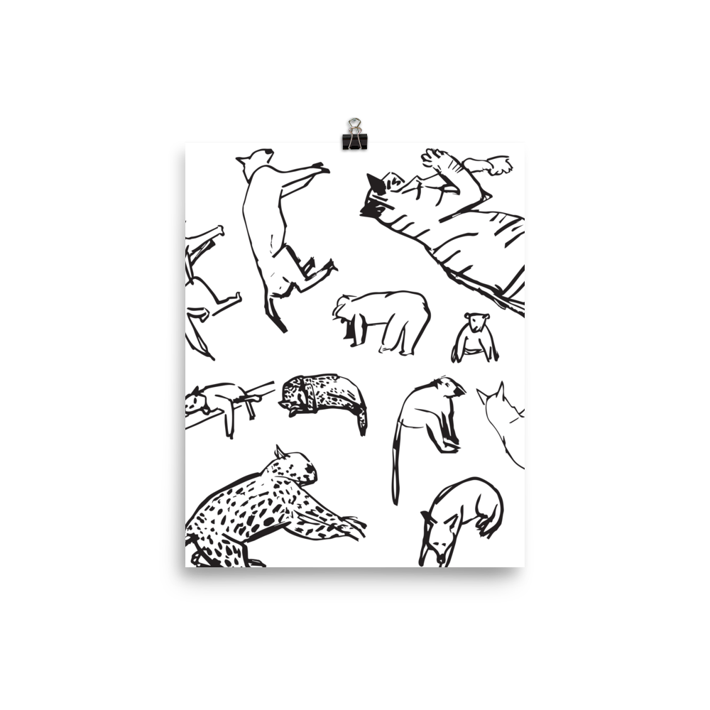 Animals | Poster