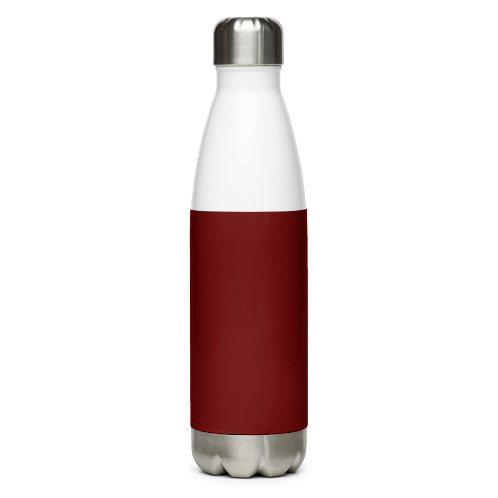 Joulu Linnut | Stainless Steel Water Bottle